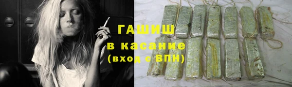 шишки Корсаков