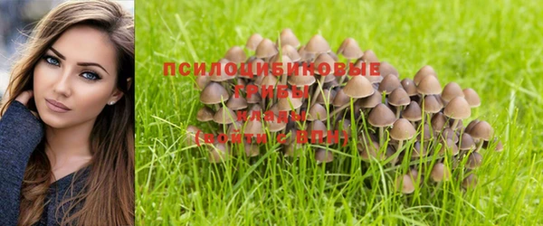 метамфетамин Коряжма