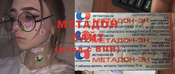шишки Корсаков