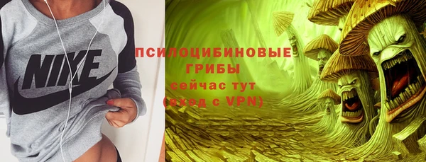 синтетический гашиш Костерёво