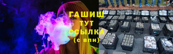 шишки Корсаков