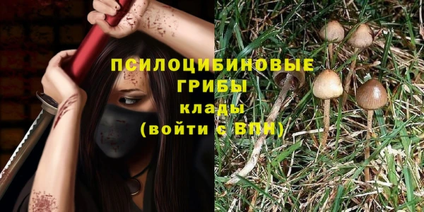 mdma Кинешма