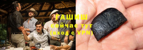 шишки Корсаков