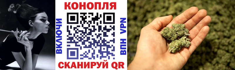 Конопля семена Ковдор